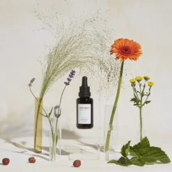 Active Botanical Sérum Huile 14 Active Botanical Sérum Huile -Bun Beauty Magasin 2020 09 visuel secondaire active botanical serum TINY